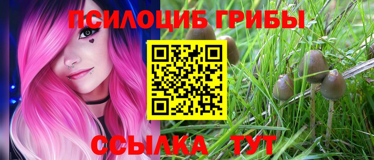 Россошь  Псилоцибиновые грибы Psilocybe  Вход с VPN  как найти закладки  Галлюциногенные грибы Cubensis 