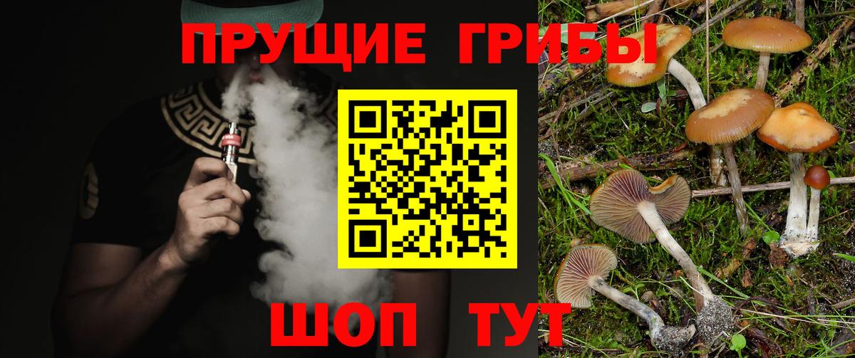 Псилоцибиновые грибы Cubensis Россошь