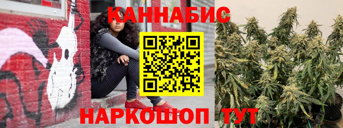 Каннабис тримм  Вход с VPN  Россошь  Канабис White Widow  Бошки марихуана Amnesia 